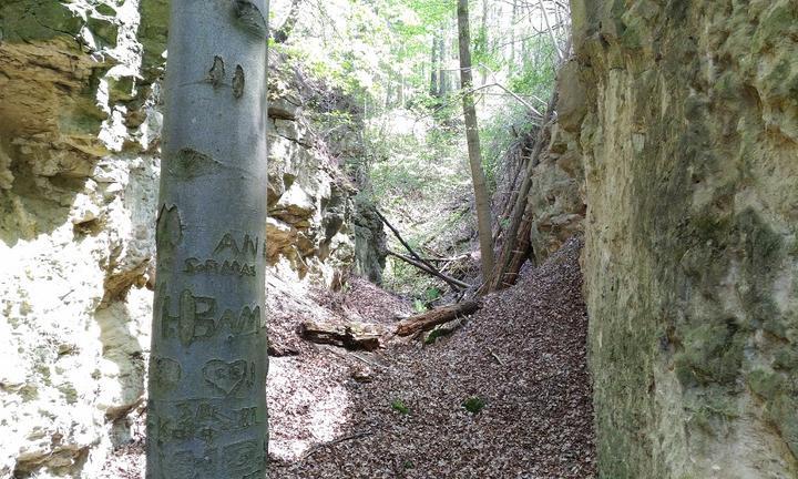 Landgasthof Waldfrieden