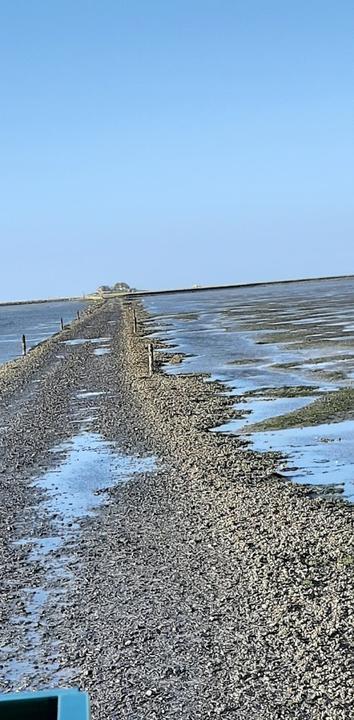 Hallig Südfall